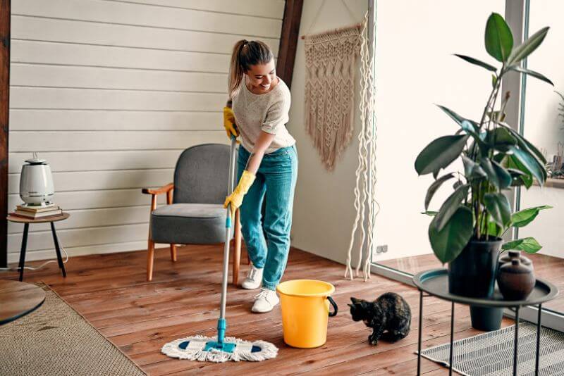 Efficient cleaning leads to a happier home?>